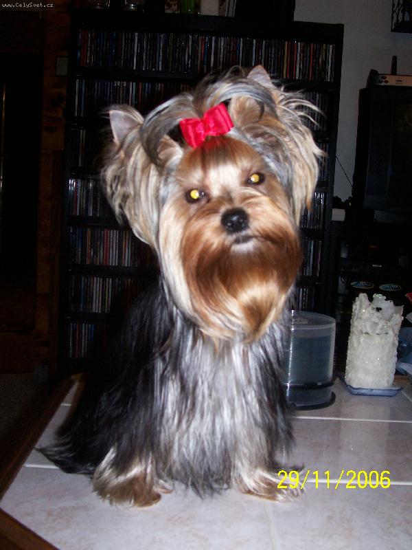 Foto: Bessy
