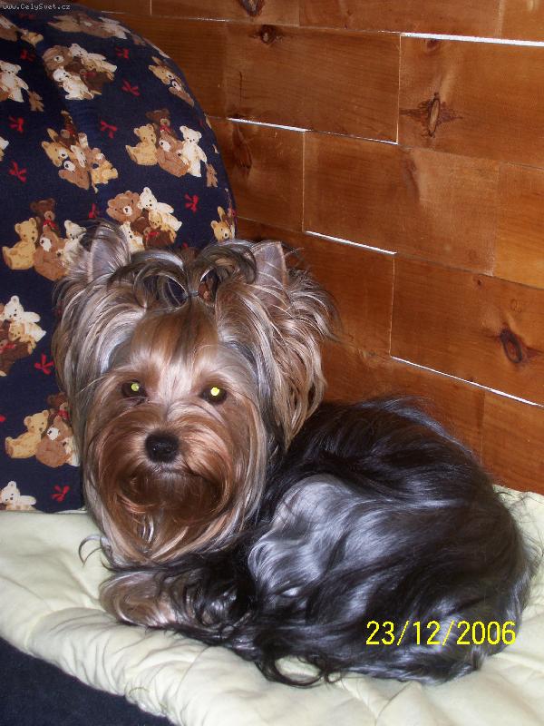 Foto: Bessy