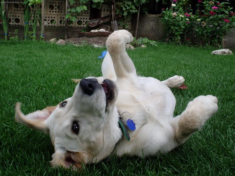 Foto: relaxace