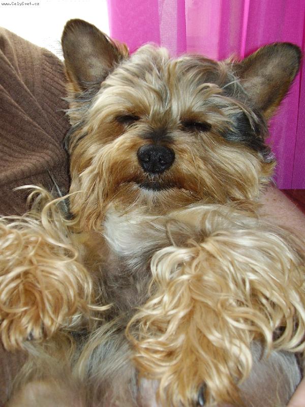 Foto: Charlie