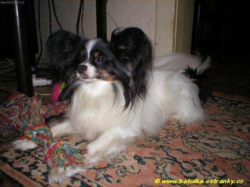 Foto: Gerry