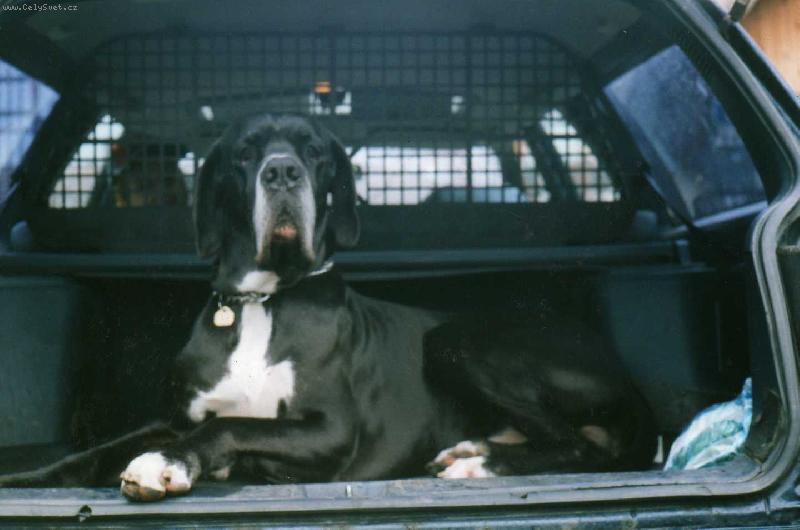 Foto: Charlie