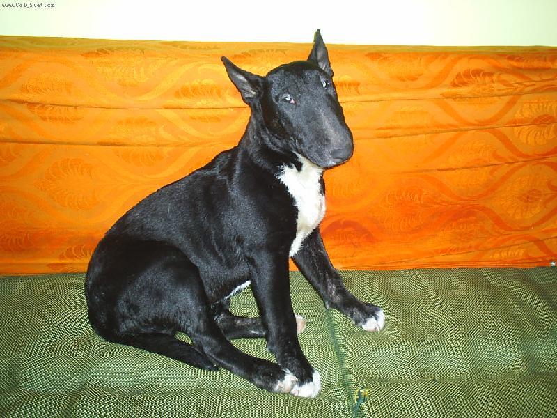 Foto: Ozzy-:)