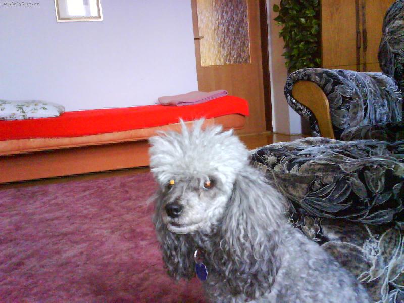 Foto: Lady-Mazel