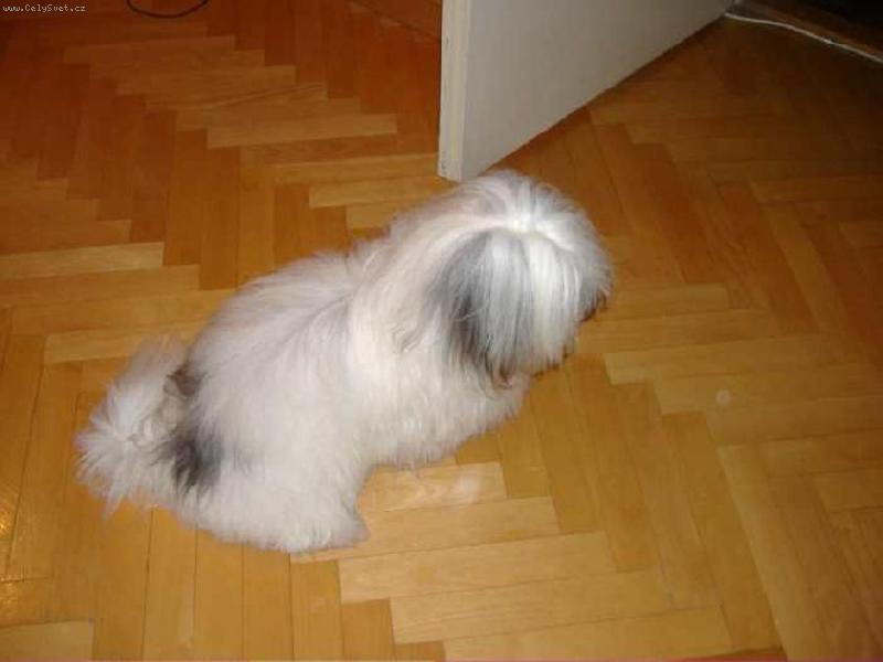 Foto: muj coton