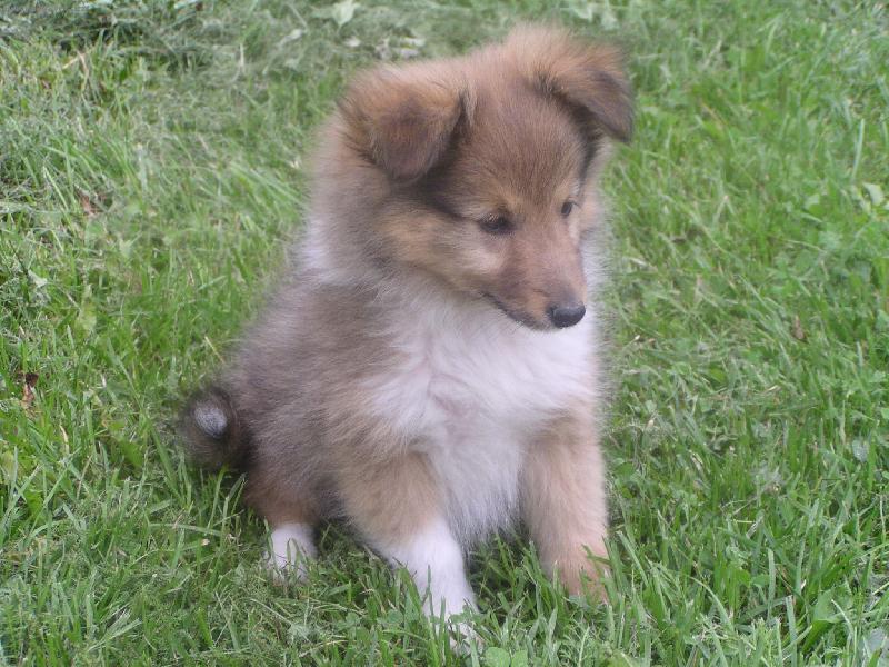 Foto: Quincy