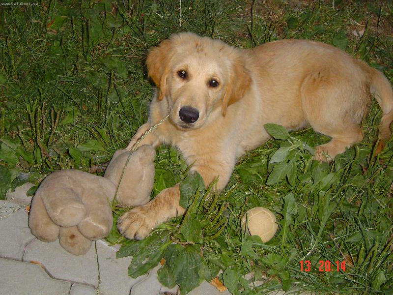 Foto: Clark