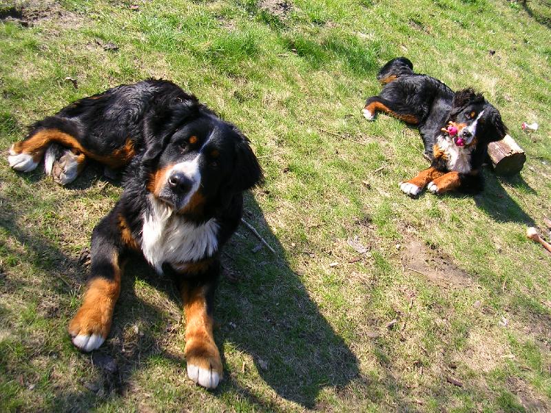 Foto: Max a Sam