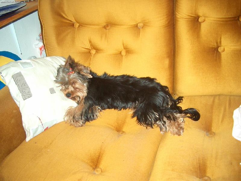 Foto: Jessy