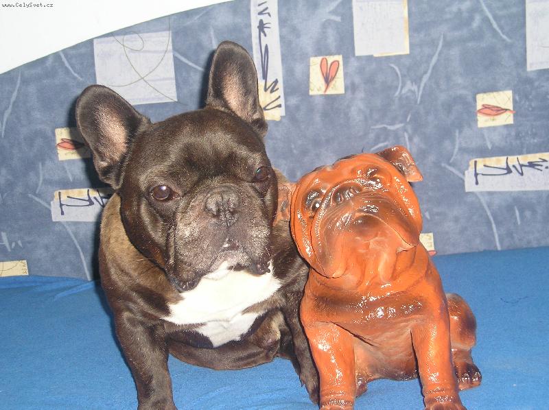 Foto: Charlie