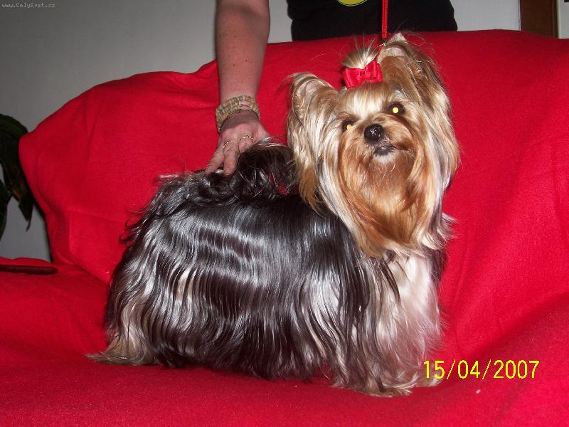 Foto: Bessy