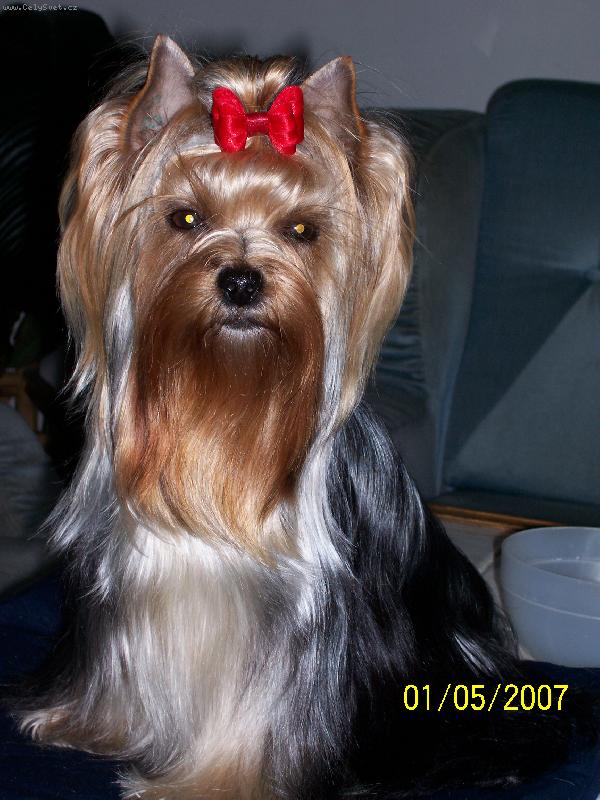 Foto: Bessy
