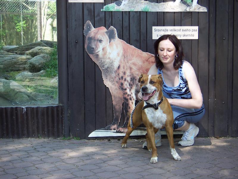 Foto: AMSTAF v ZOO