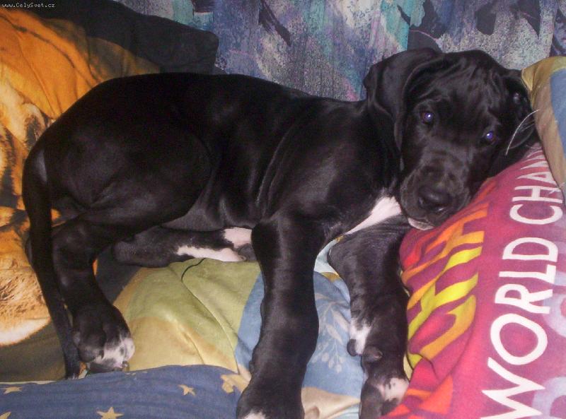 Foto: Charlie