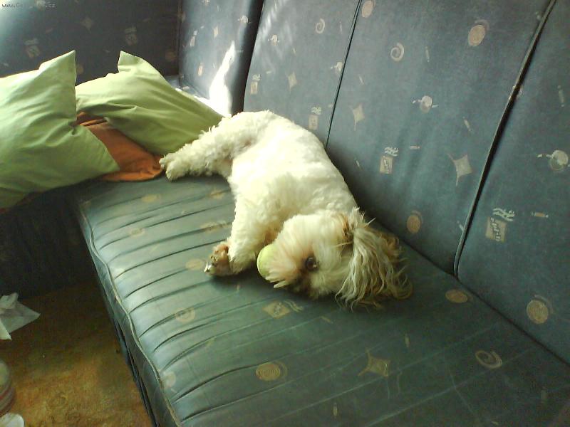 Foto: na gau�i