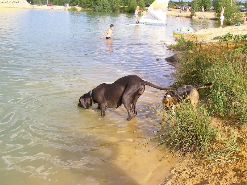 Foto: Lulu-u vody