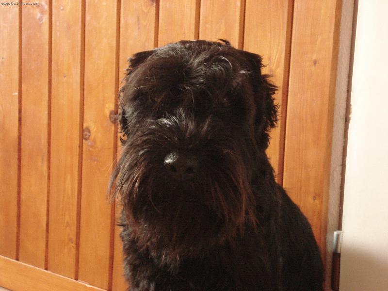 Foto: Roxi