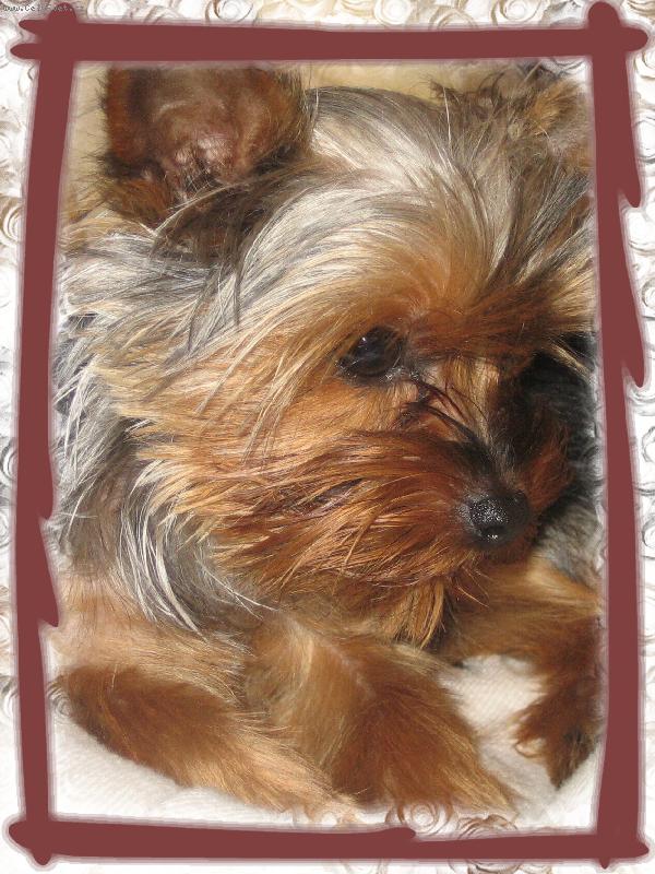 Foto: Miky
