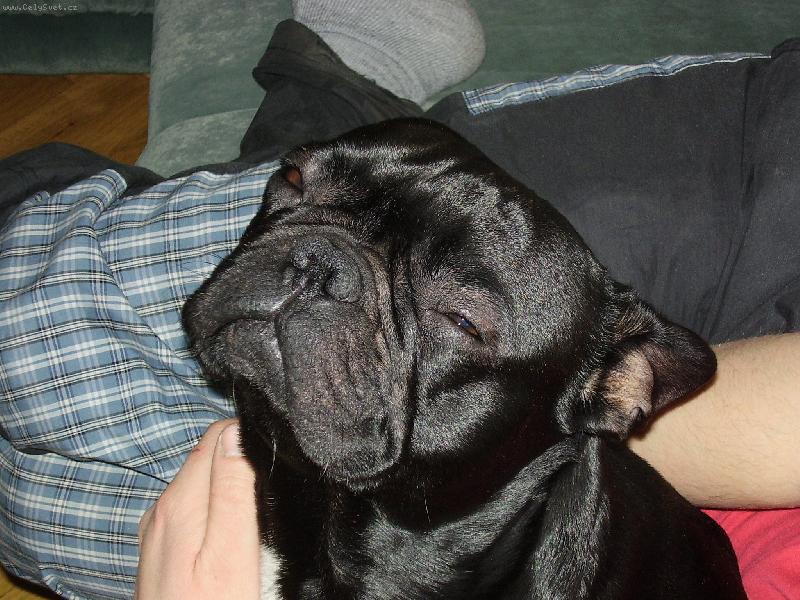 Foto: Buchta