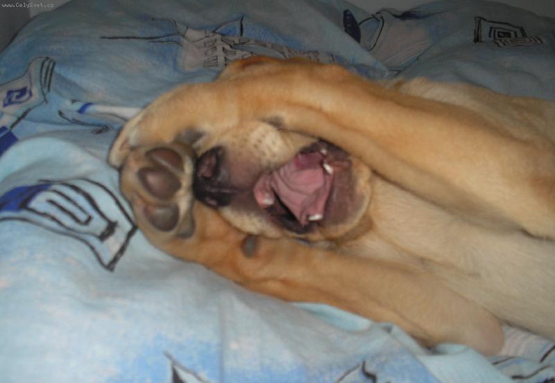 Foto: ....