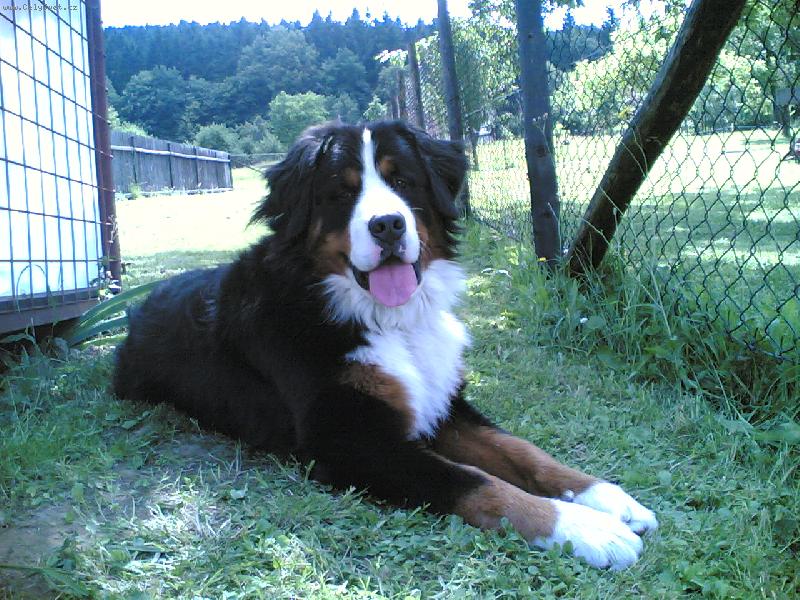 Foto: Ben