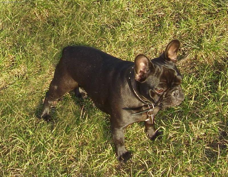 Foto: Lucky
