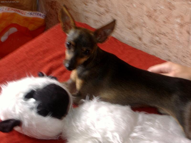 Foto: Fil�pek