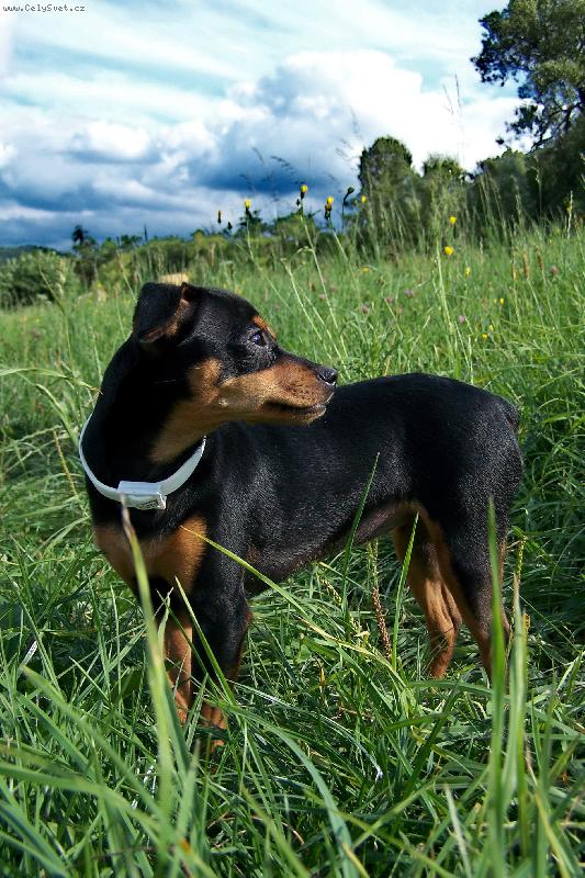 Foto: Vendulka