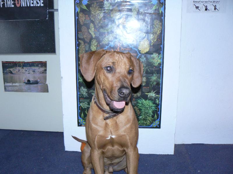 Foto: daxi