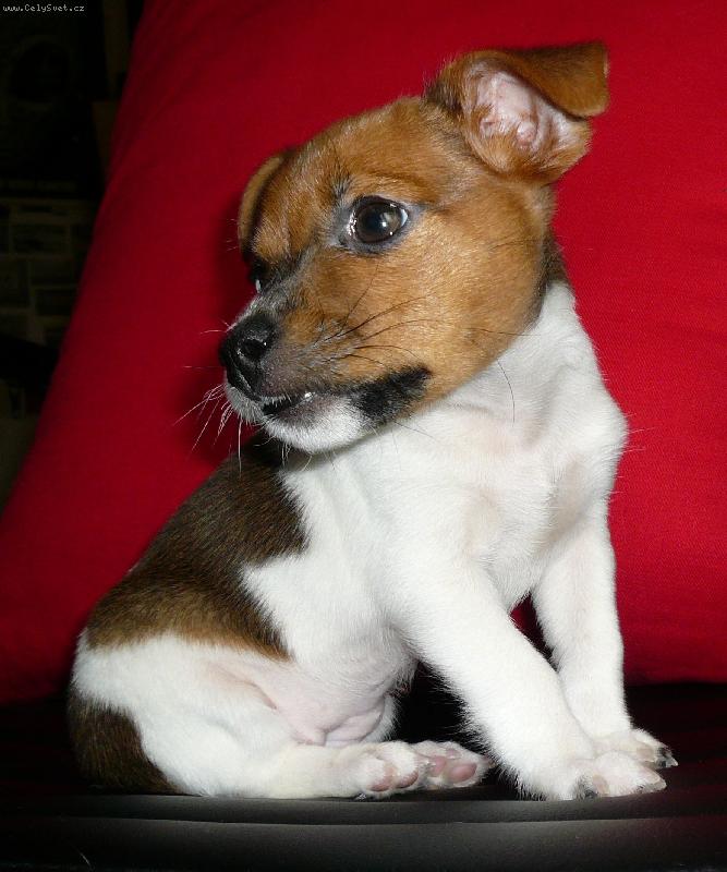 Foto: Roxy...