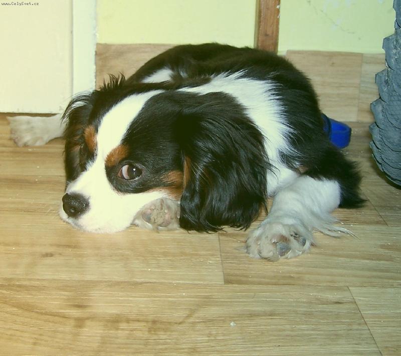 Foto: Lucky