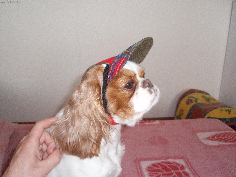 Foto: Jessie