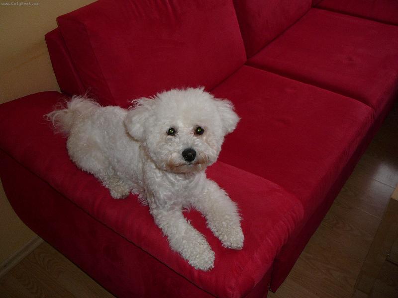 Foto: Angie-Angie