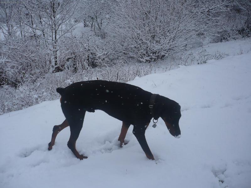 Foto: Renzo-4 roky