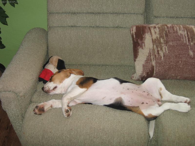 Foto: pohoda