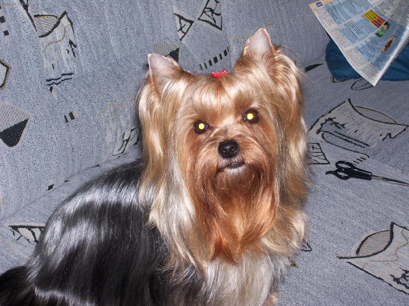 Foto: Bessy-Bessy