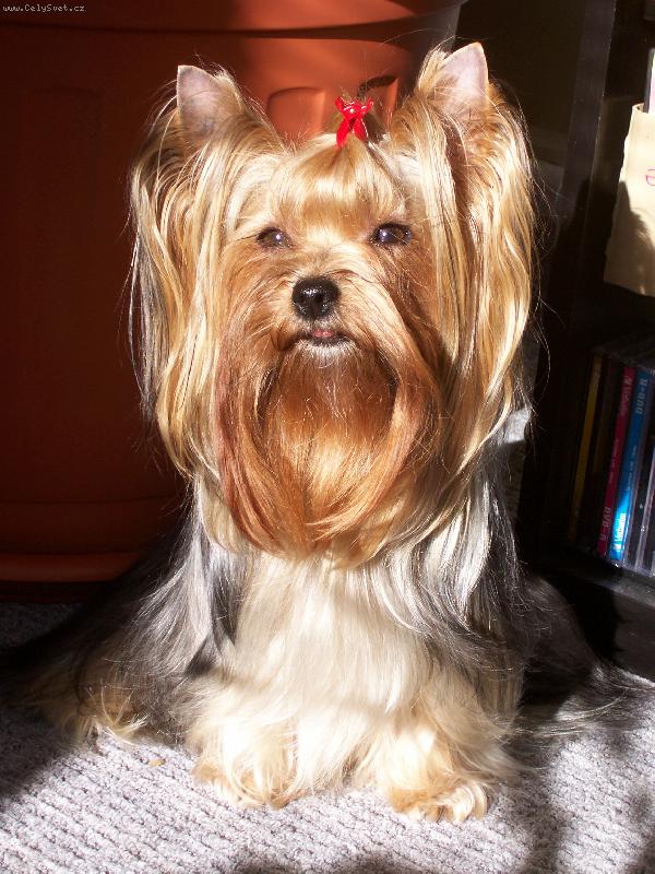 Foto: Bessy-Bessy