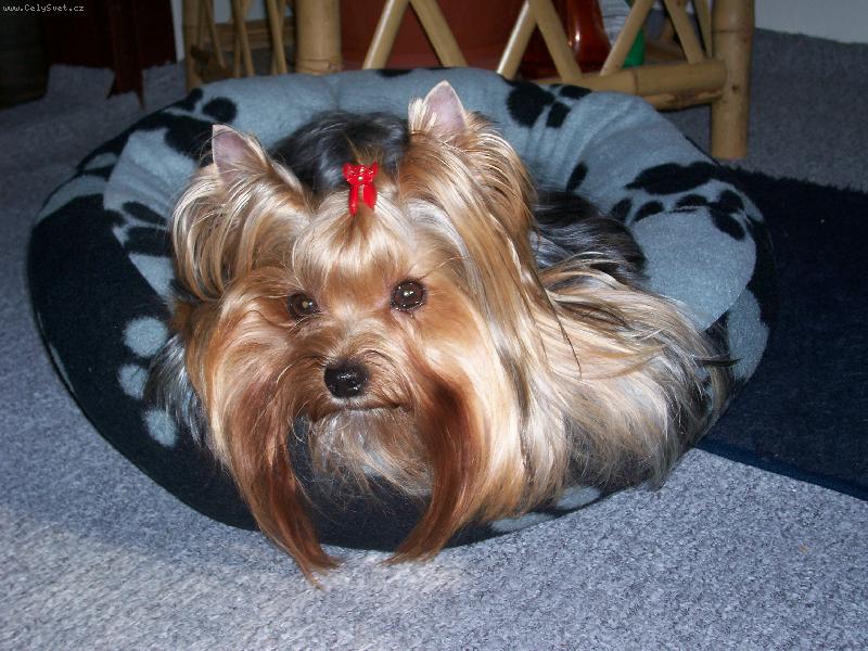 Foto: Bessy-Bessy