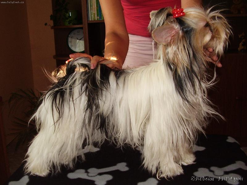 Foto: Snoopy frajer