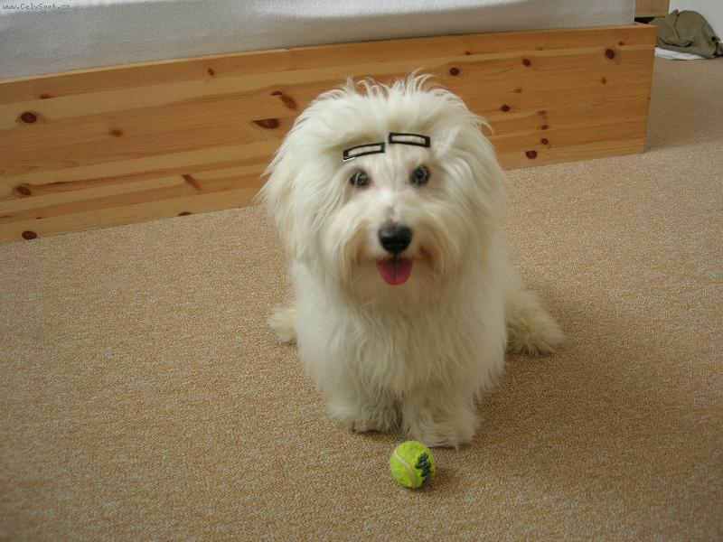 Foto: Bastien