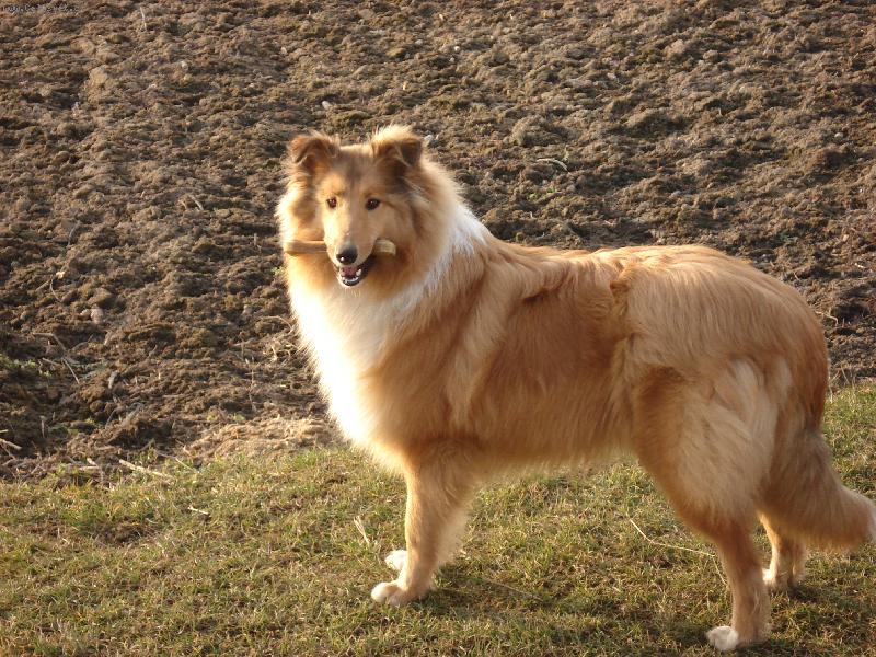 Foto: Nelinka