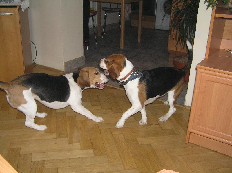 Foto: Ayga a Amy