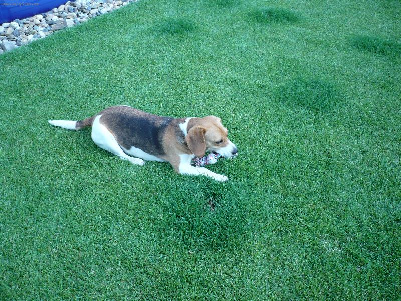 Foto: Connie