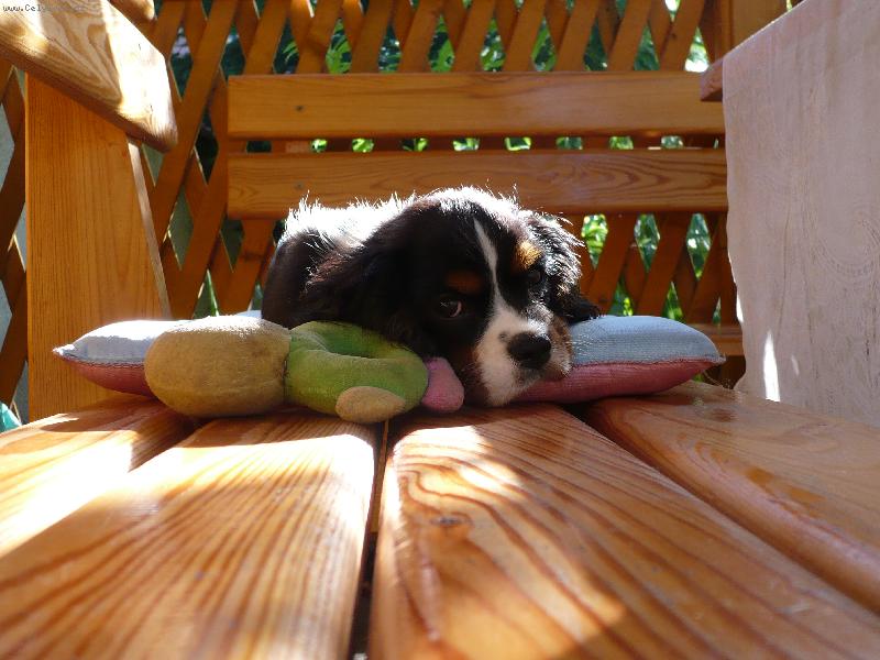 Foto: Maggie
