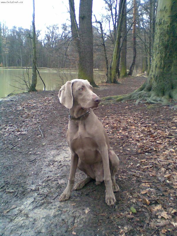 Foto: Ben-Ben