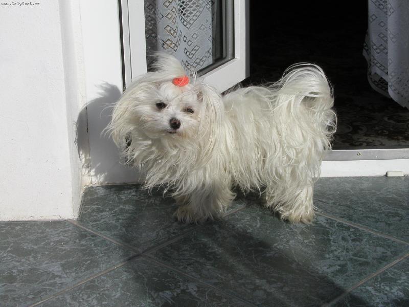 Foto: Cindulka