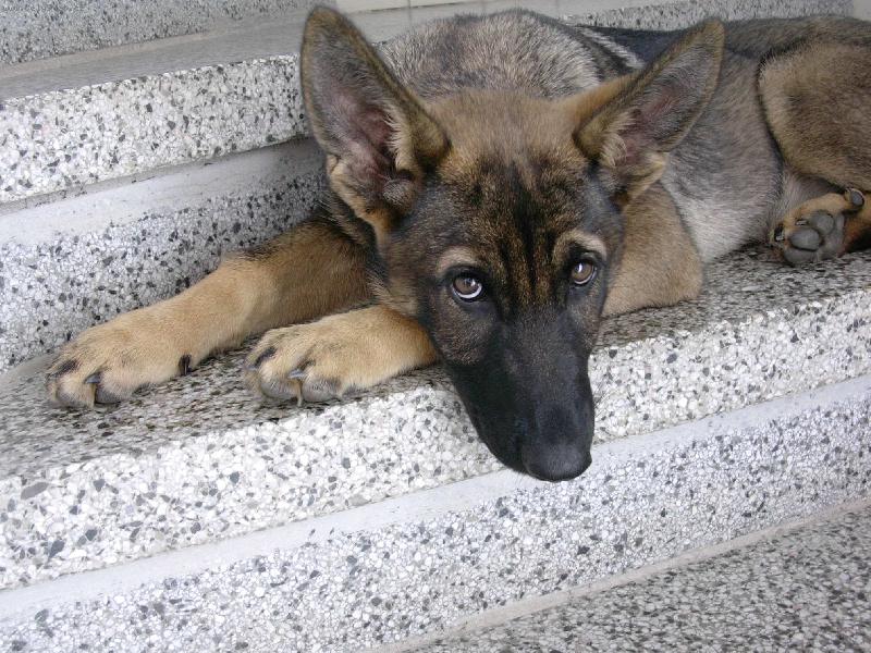 Foto: Bafina 2