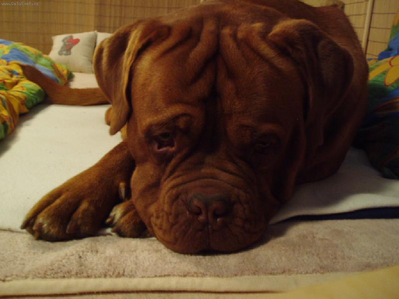 Foto: Hugo
