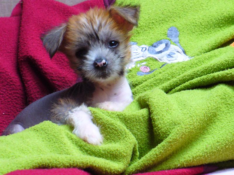 Foto: Zoe