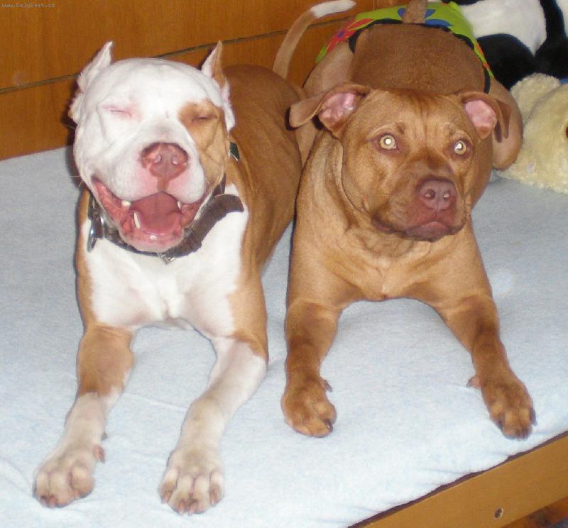 Foto: Sherry a Jack